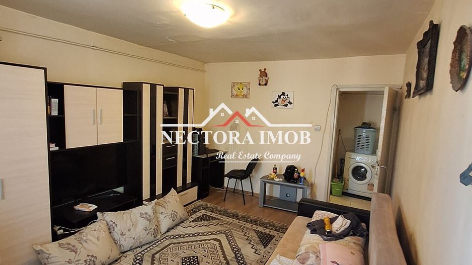 NECTORA IMOB Exclusivitate-Apartament 2 camere, Zona Rogerius, Tip D - Poză 1