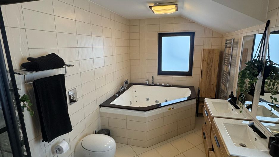 Vila cu piscina Snagov Ciofliceni - Poză 12