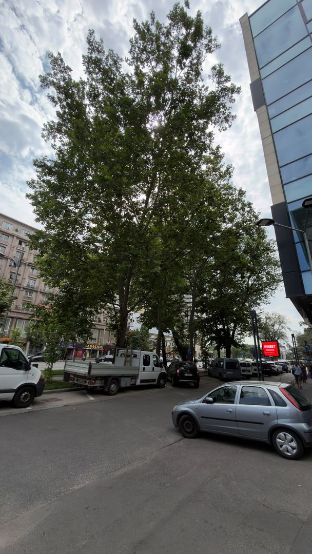 spatiu birouri 228 mp | Universitate | Nicolae Balcescu - Poză 18