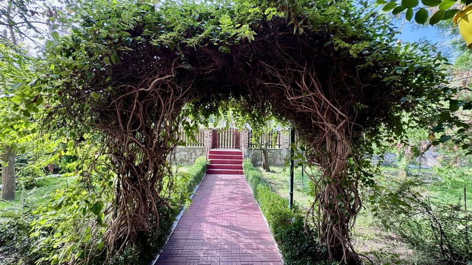 Hotel 20 camere Delta Dunarii 50 m deschidere teren 6000 mp acces auto - Poză 68