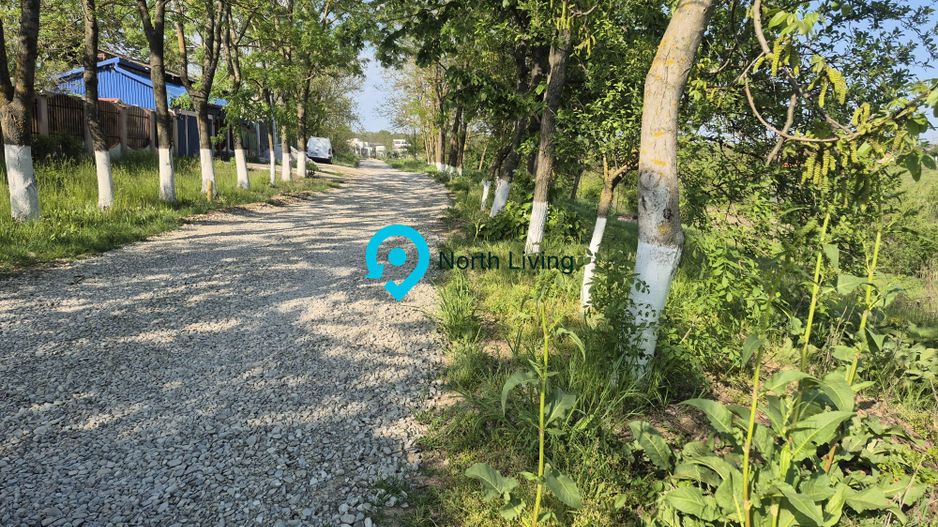 TEREN CU DESCHIDERE LA LAC / LA DOAR 100 M DE PADURE / UTILITATI - Poză 3