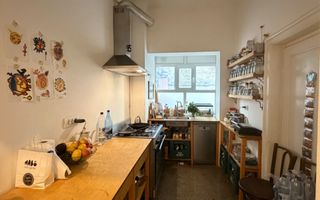 4 camere parter in vila - 2 apartamente in vila Pta Alba Iulia-Basarab - Poză 4