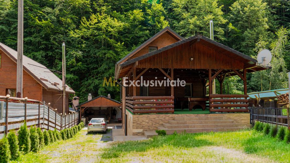 Splendoarea naturii imbinata cu stilul modern=pensiune exclusivista - Poză 26