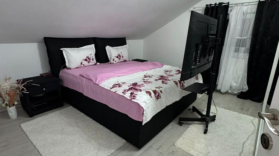 Casa noua de vanzare , Totoi - Poză 3