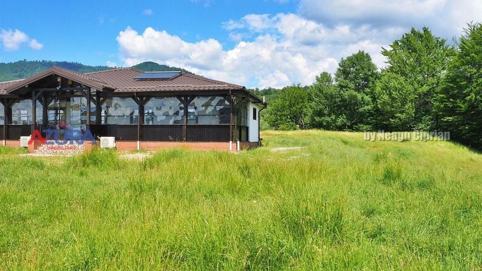 AZURA Imobiliare Pitesti - Casă de vacanță, Nucșoara! - Poză 39