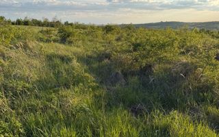 Teren de vânzare în Saldabagiu de Munte, judet Bihor - Poză 3