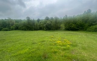 Teren Extravilan 4.572mp | Zonă liniștită | Sadu - Poză 12