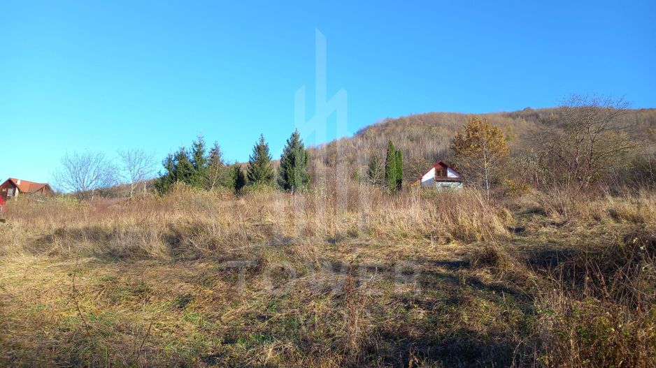 Teren intravilan Fântânele-Sibiu - Poză 2
