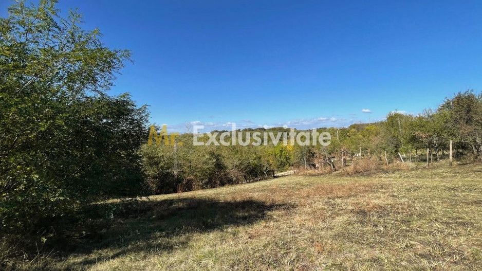 Teren Babana 5000mp intravilan - Poză 3