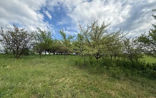 Teren intravilan construibil – 2.100 mp | Căianu - Poză 7