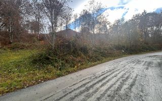 Oportunitate de investiție – Teren pentru hotel / pensiune pe Valea Avrigului - Poză 6