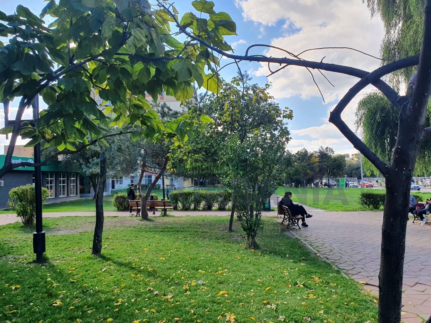 Spatiu comercial Nicolina - Poză 2