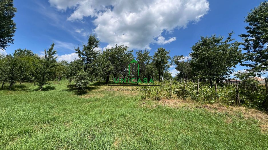 Teren Fedelesoiu/3200 mp/Intravilan - Poză 4