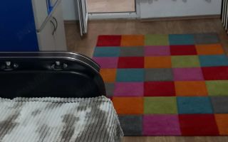 Apartament 2 camere de închiriat pe B-dul Primaverii, Iași - Poză 7