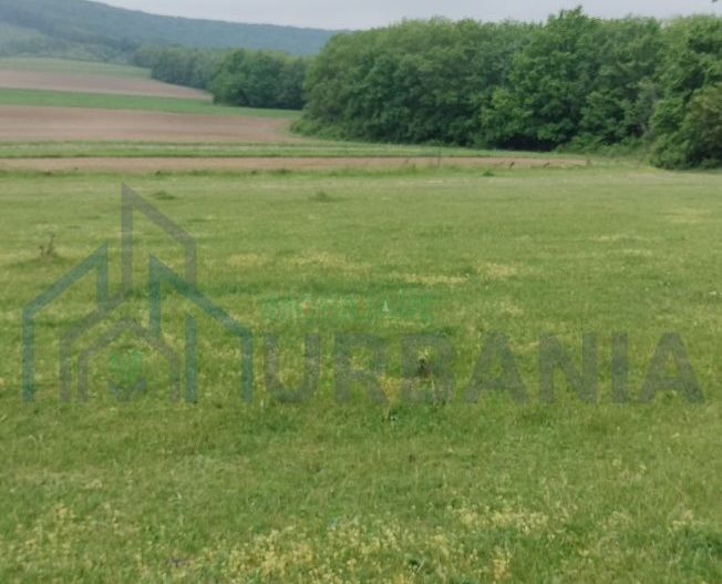 Teren intravilan 7.200 m2, Bordea, Grajduri, ideal case/ investitie - Poză 5