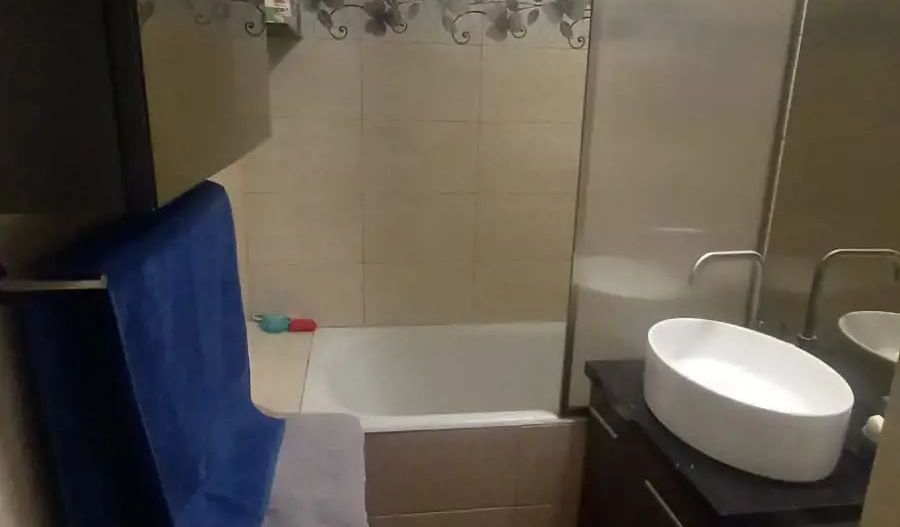 Garsoniera Vitan/Dristor - Poză 8