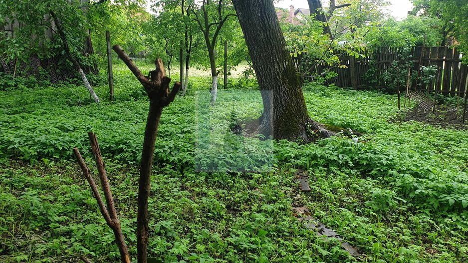 Casă bătrânească de vânzare în Tărlungeni - Poză 5