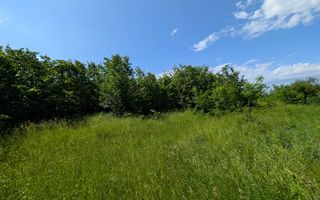 VANZARE TEREN, Sat.Balteni, com. Peris, Padurea Scrovistea, jud IIlfov - Poză 3