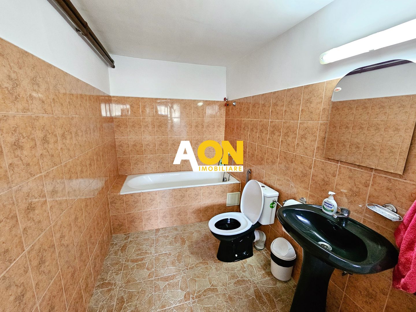 Casa 10 camere, 878 mp teren, toate utilitatile, Barabant - Poză 26