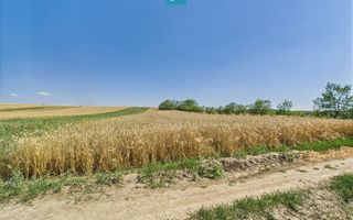 Teren intravilan + extravilan în Remetea Mică - Poză 8