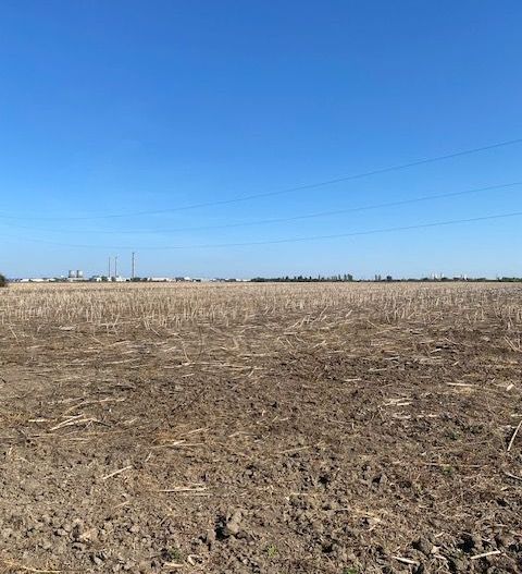 Teren agricol în Zona Sagului - Poză 8