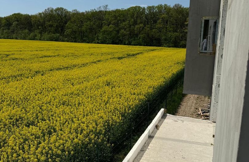 Vile Individuale Noi 4 camere Snagov Ghermanesti - Poză 12