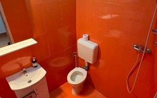 Lipovei | 3 Camere | 2 Bai | Decomandat | Centrala Proprie - Poză 9