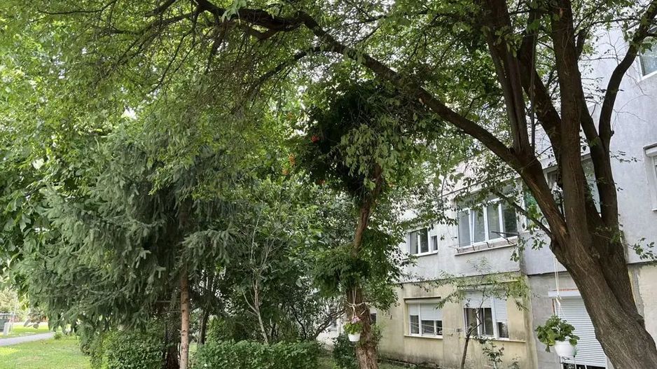 BRASADAS vinde ap cam etaj 1/4 Micro 15 Oituz. - Poză 1