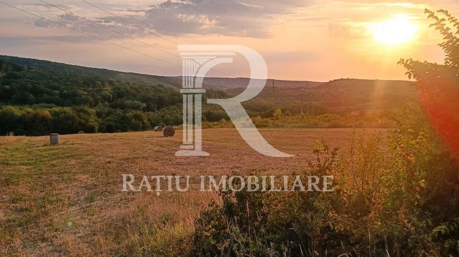 Teren de vanzare | Hidiselul de Sus | Bihor - Poză 6