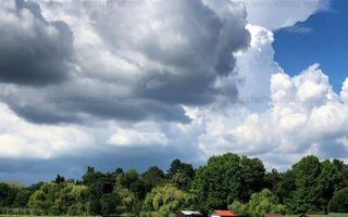 Teren cu iesire la Lacul Snagov, ponton privat cu foisor, piscina si sauna - Poză 8