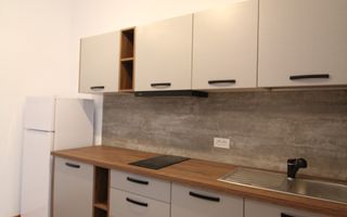 Zona Lunei, o camera, prima inchiriere - Poză 3