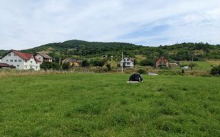 Teren intravilan | 5-26 ari | Crainimăt - Poză 3