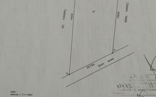 TEREN 1617 MP CAMPULUNG-MUSCEL - Poză 6