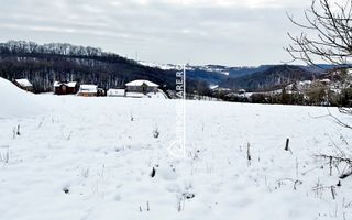 Teren intravilan 1.500 mp. Corunca Valea Iubirii 65 euro mp - Poză 7