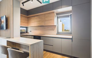 Apartament o cameră Dumbrăvița Lux - Poză 1
