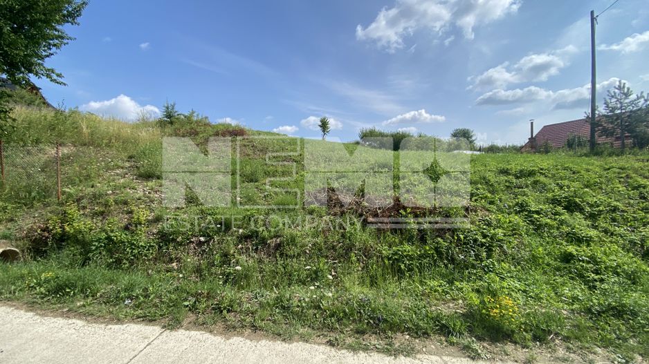 Teren Intravilan | 25 Ari | Voievodeasa - Poză 4