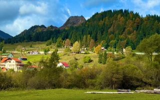 Teren de vanzare in Colibita , 500-6000 mp - Poză 4