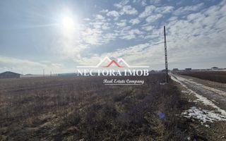 NECTORA IMOB-Teren Intravilan, 500 mp, Front 20ml,Zona CIHEI,Utilitati - Poză 3