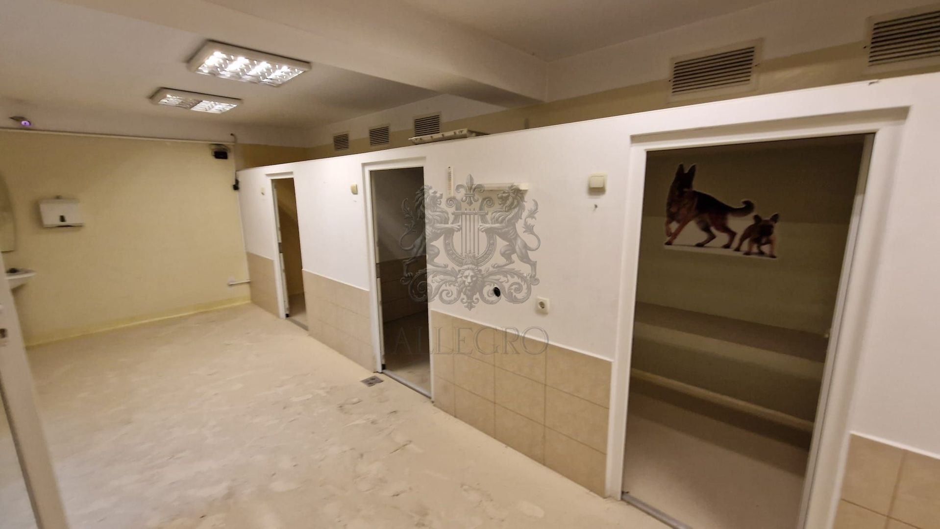 Voluntari | Cladire unica | Spatiu comercial versatil | 1316 mp - Poză 6