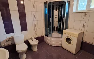 Vilă cu potențial comercial și rezidențial - Poză 26