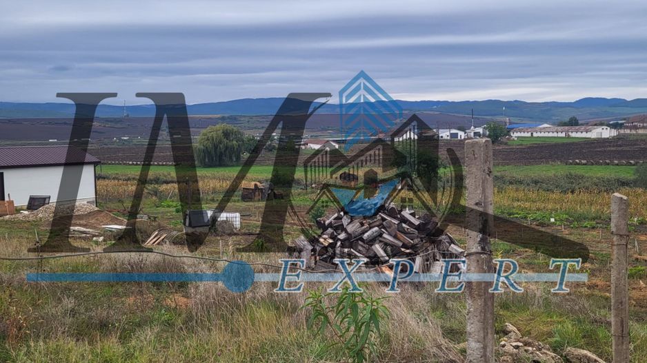 TEREN INTRAVILAN DE VANZARE IN CUT - Poză 4