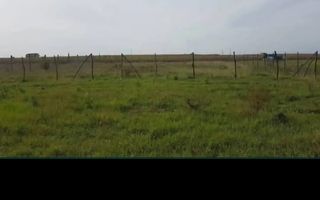 Teren Intravilan Paleu 1025 mp - Poză 3