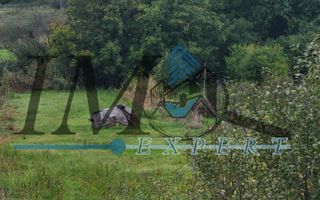 TEREN INTRAVILAN DE VANZARE IN CUT - Poză 2