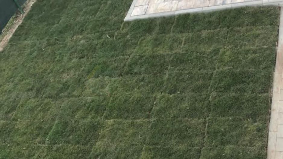 Vilă spațioasă Tunari | Curte mare | Complex închis - Poză 29