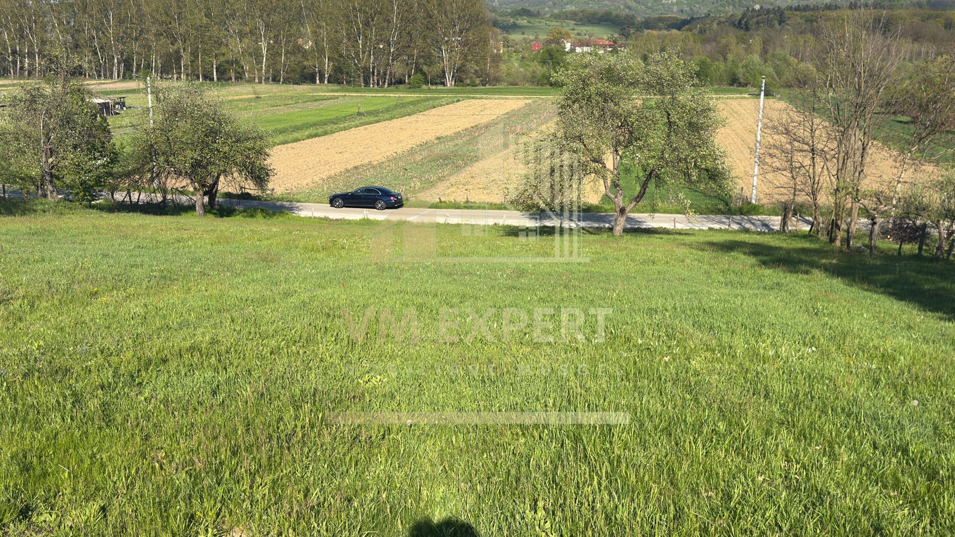 TEREN 4568 MP MIHĂEȘTI ARGEȘ - Poză 12