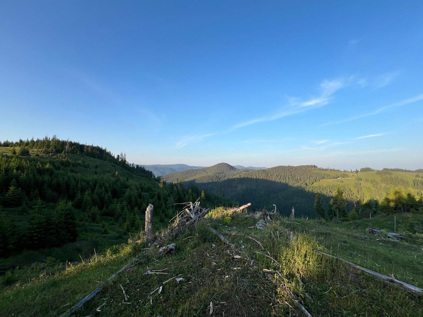 50 hectare teren | Moldova-Sulita | Potential turistic si agricol - Poză 5