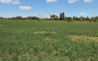 Vanzare teren intravilan 5000 mp Drumul Lunca Cetatii - Splaiul Unirii - Poză 3