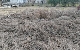 Teren intravilan 672 mp – poziție rară, la poalele Mănăstirii Dealu, - Poză 10