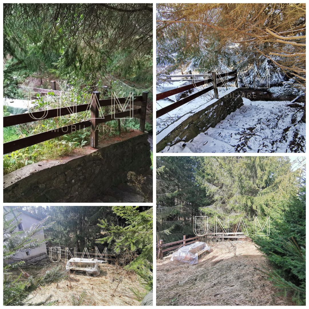 **VANDUT** Casă, Gărâna, munții Semenic, la doi pași de Scenă - Poză 8