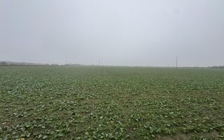 COMISION 0 | Teren intravilan | 7.473 mp | Zona Freidorf - Poză 2